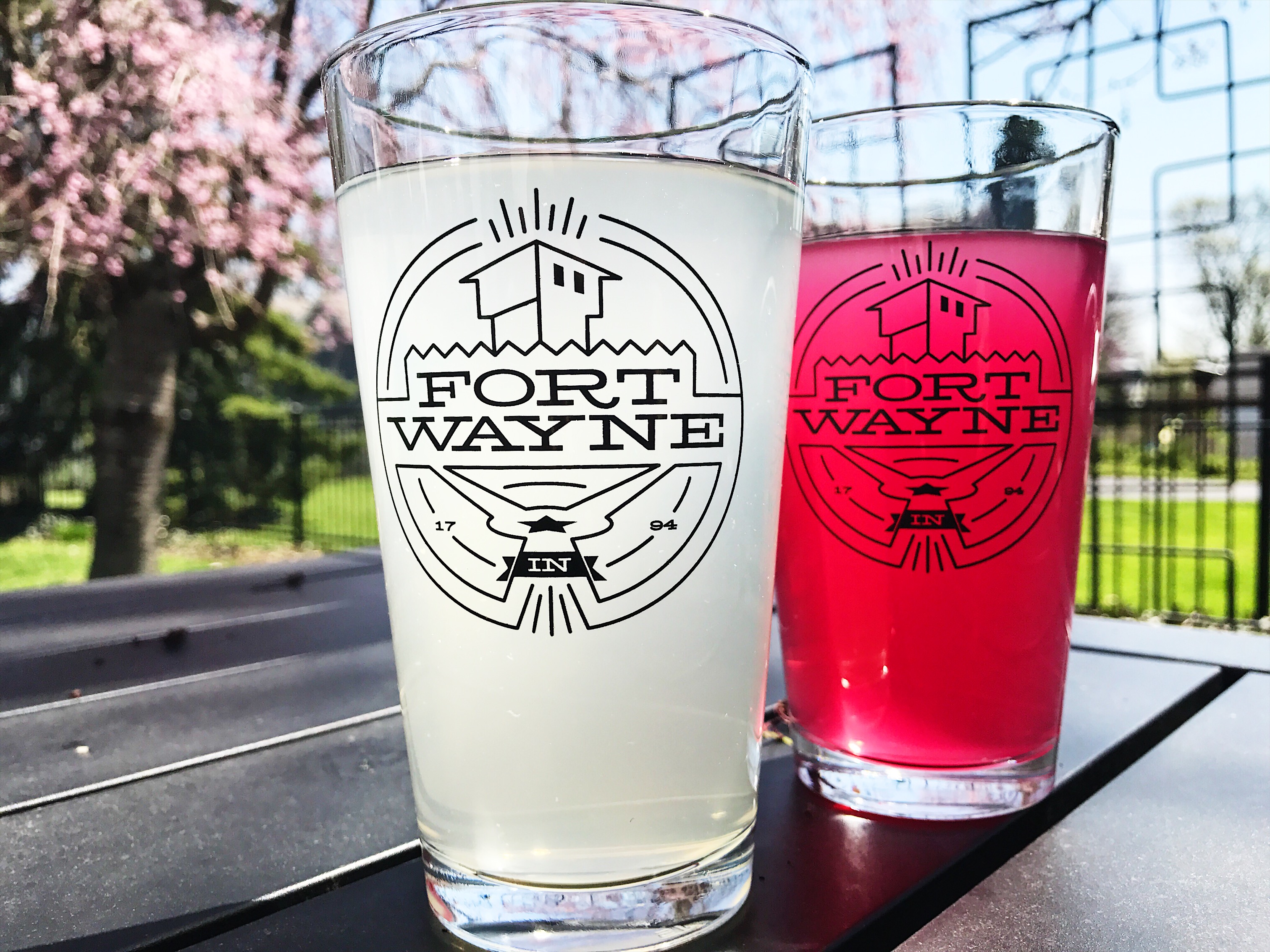 Fort Wayne Pride 2024 - i8i12nb